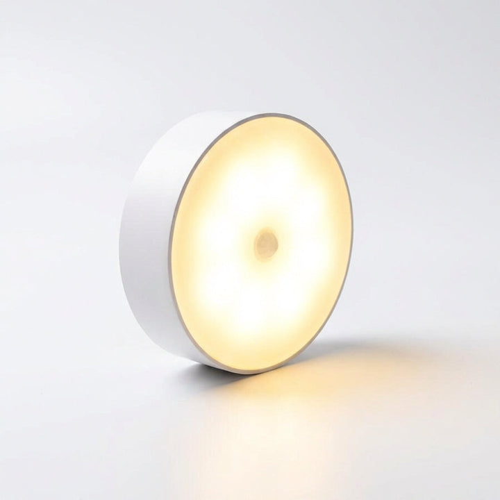 NiteSphere wireless LED lamp with motion detection, USB rechargeable, great for dark areas of your home
