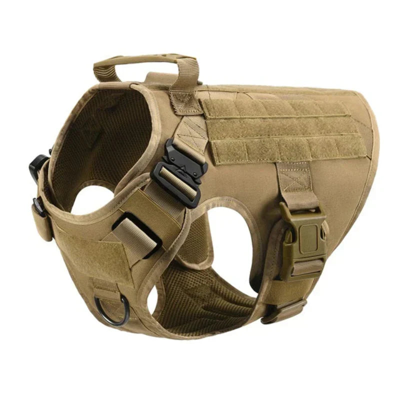 Happy dog wearing a comfortable, adjustable no-pull training harness for safe walks & enhanced control.