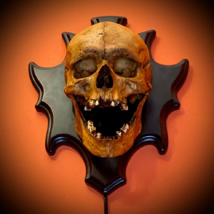 Gothic resin skull lamp, Nocturiskull series, ideal as a wall-mounted home accent