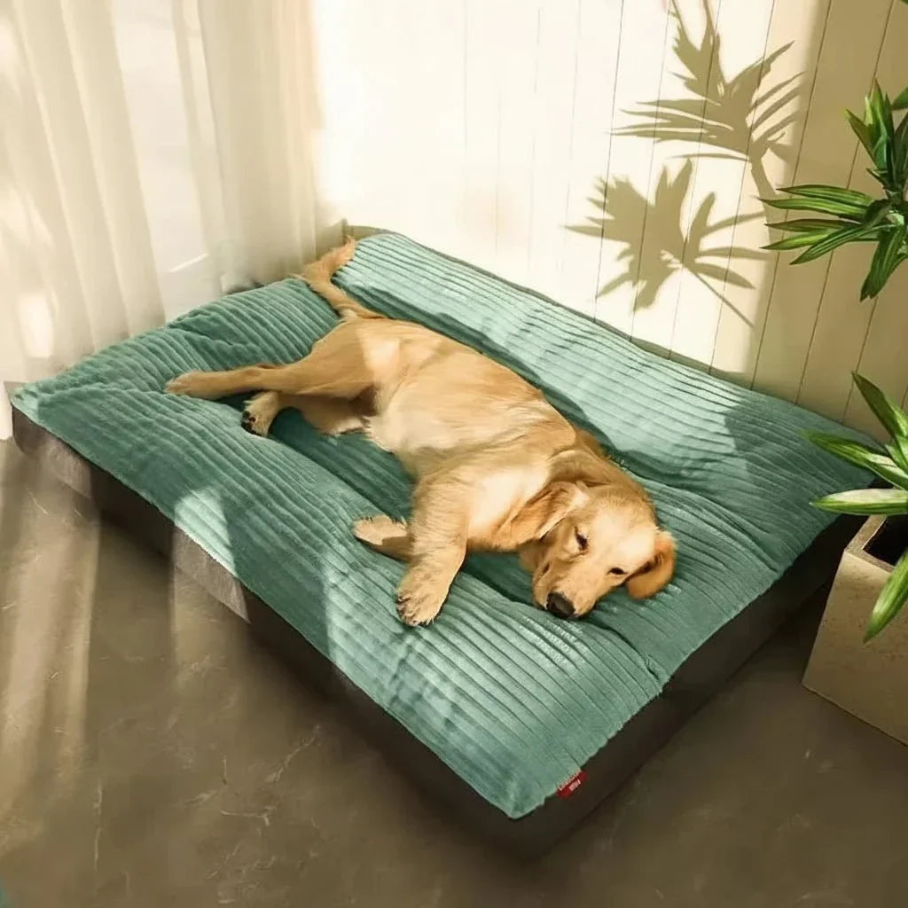 Orthopedic dog bed for deep sleep & joint relief. Fluffy pet comfort for senior dogs.