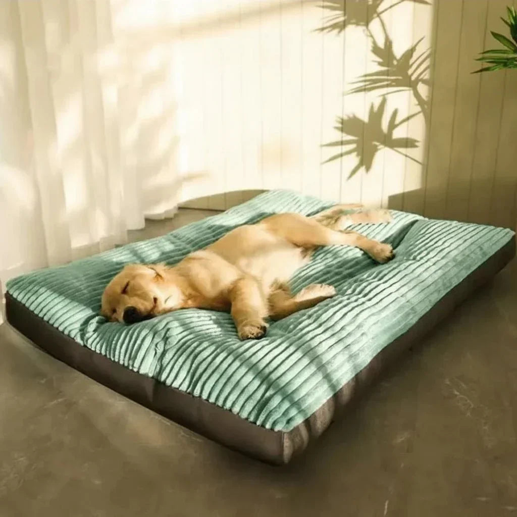Comfortable senior dog bed for deep sleep. Plush, orthopedic design for joint pain relief.