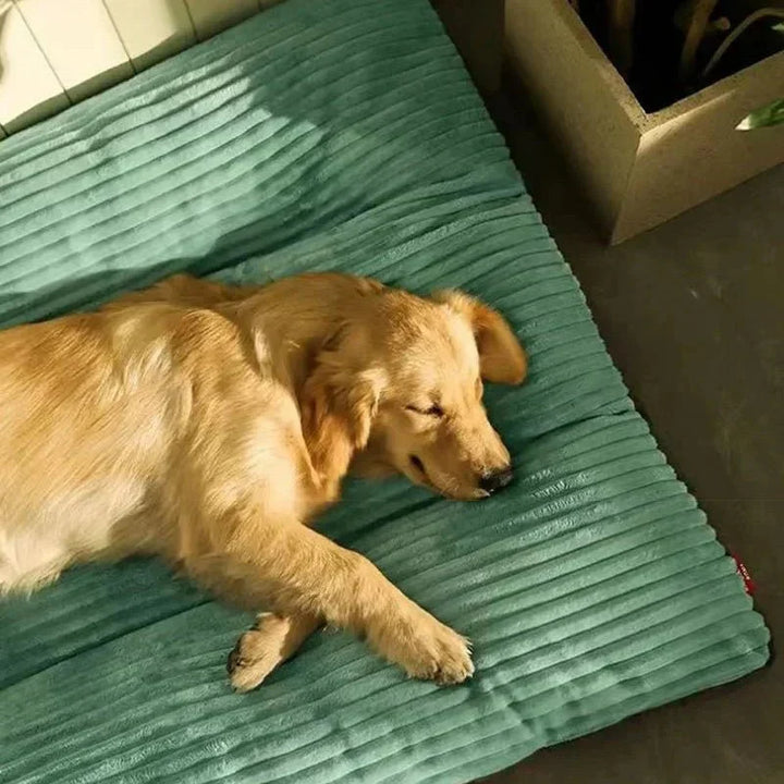 Supportive orthopedic dog bed with memory foam for ultimate pet comfort & joint care.