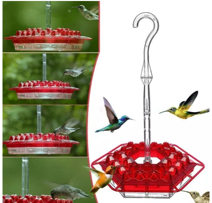Close-up of a clear outdoor hummingbird feeder with red accents and sturdy perches, ant-proof features.