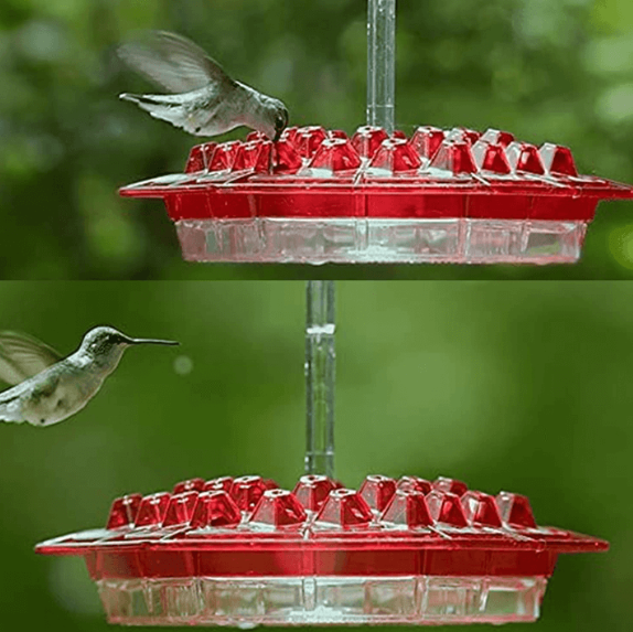 Stylish garden decor: an outdoor hummingbird feeder with built-in ant protection and comfortable perches.