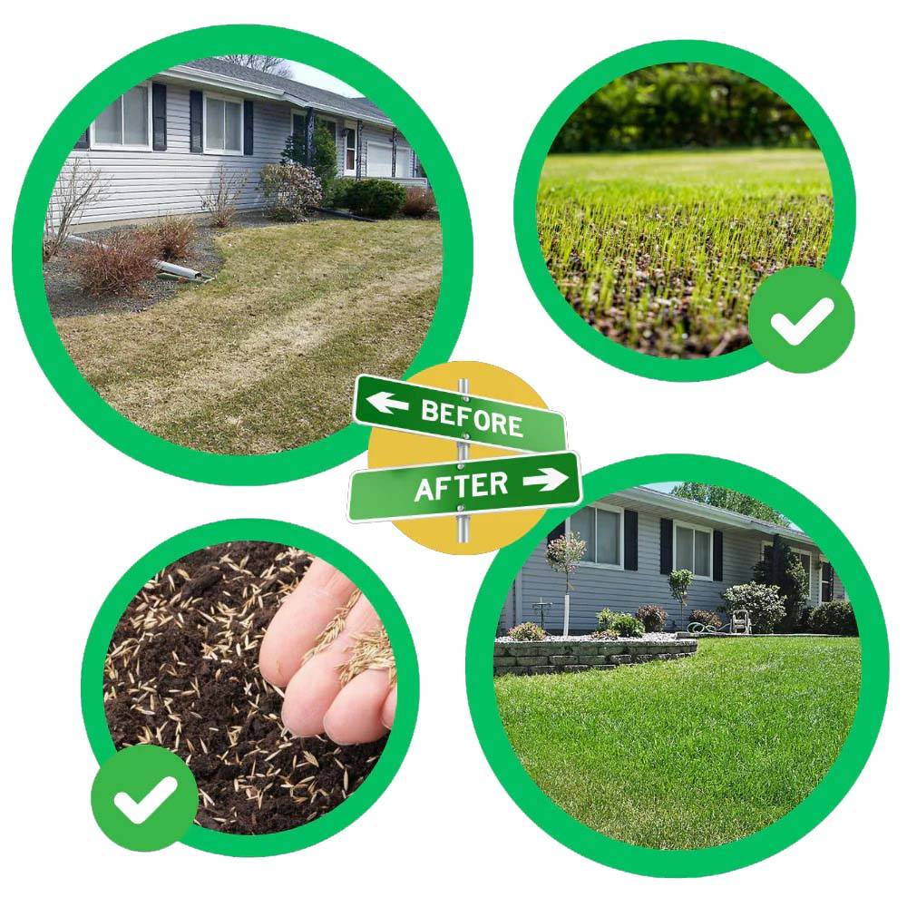 Green grass seed mat, a quick fix for rapid lawn growth. Biodegradable and eco-friendly for healthy garden care.