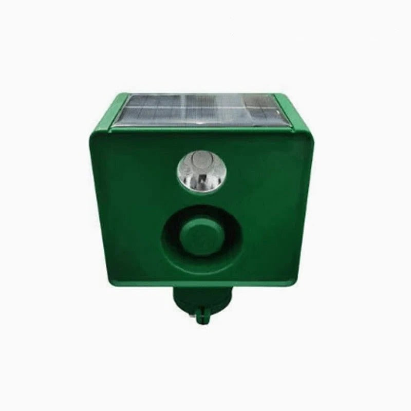 Solar light, high-volume alarm, and flashing light combine for an effective outdoor animal repellent.