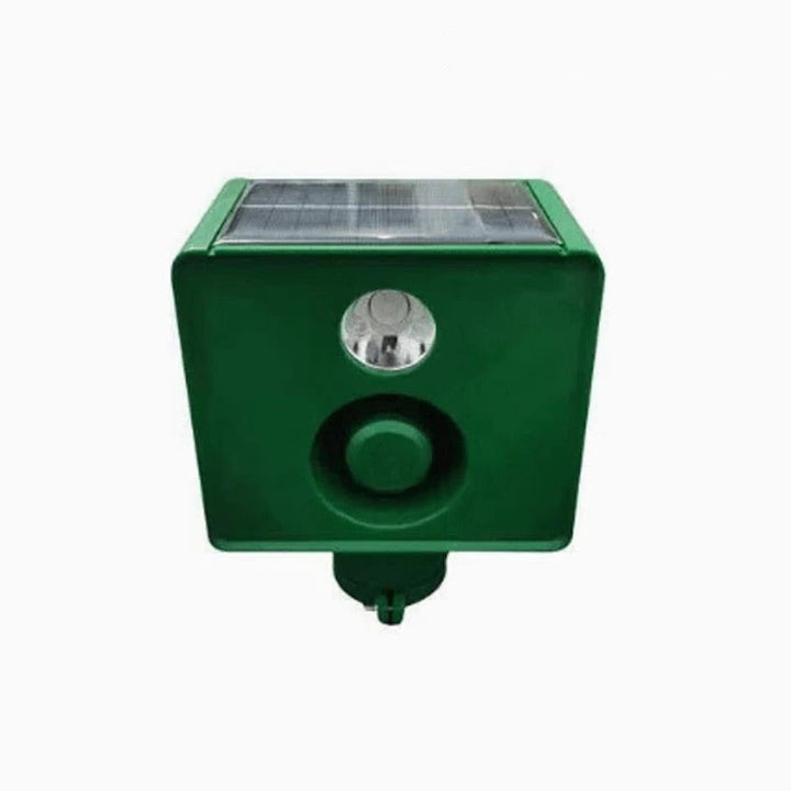 Solar light, high-volume alarm, and flashing light combine for an effective outdoor animal repellent.