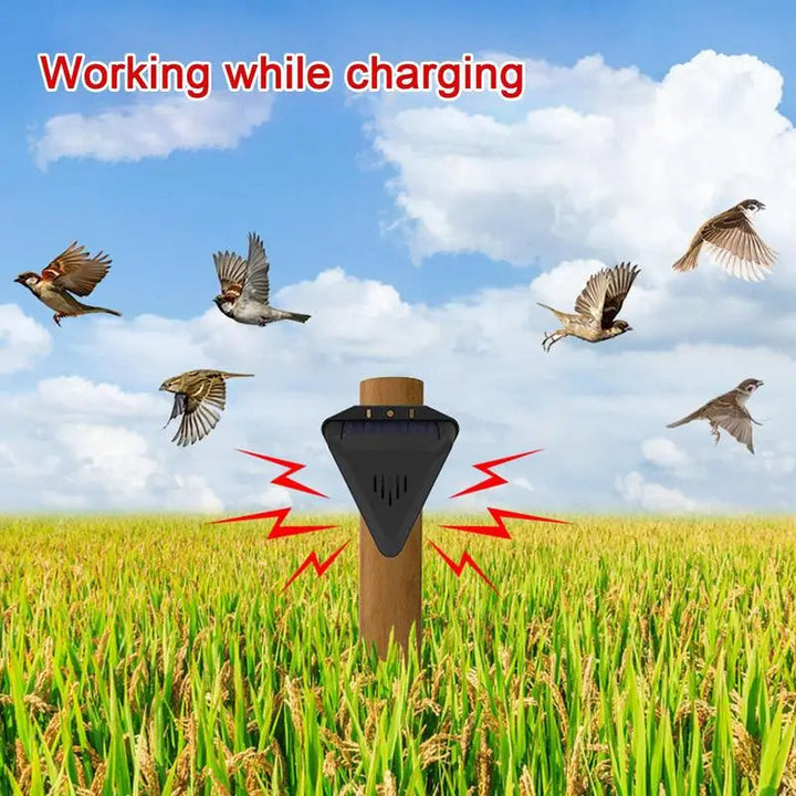 Humane solar bird & animal repeller for garden protection. Eco-friendly outdoor pest deterrent for yards.