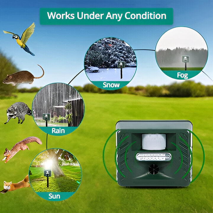 Solar-powered ultrasonic woodpecker repeller for humane outdoor pest control & garden protection.