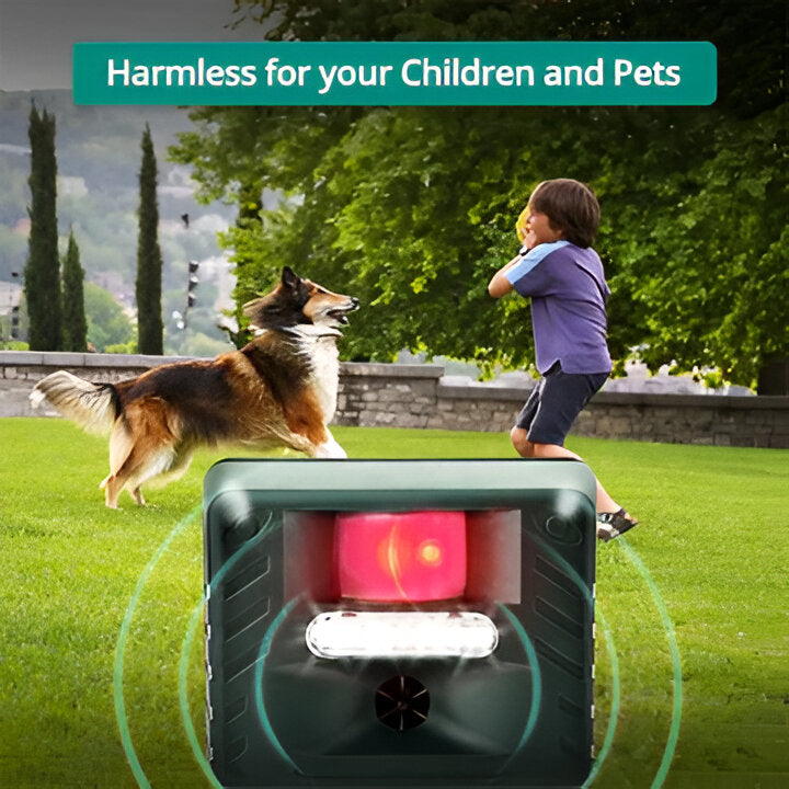 Effective outdoor ultrasonic repeller specifically designed for humane woodpecker control and garden defense.