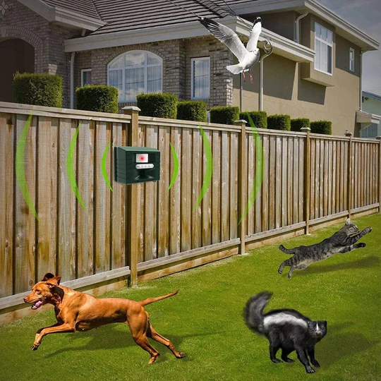 Outdoor solar ultrasonic woodpecker deterrent, protects gardens & yards from birds humanely.
