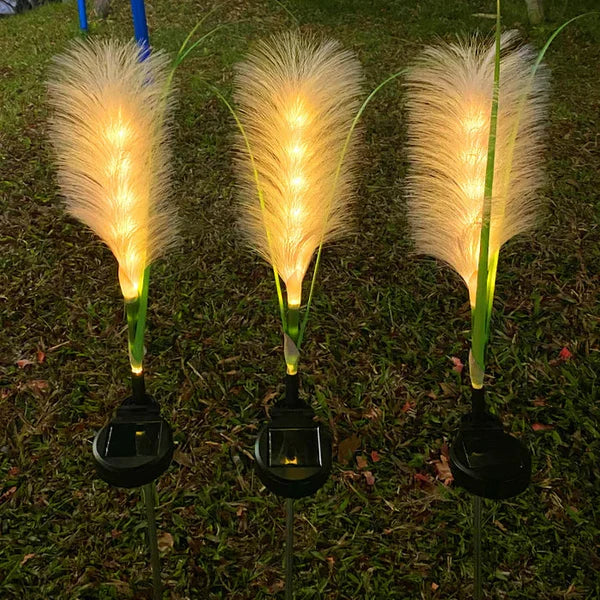 A single outdoor wicker solar light, highlighting its design as a charming garden accessory.