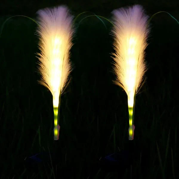 Outdoor garden with a line of wicker solar pathway lights, providing soft, ambient landscape lighting.