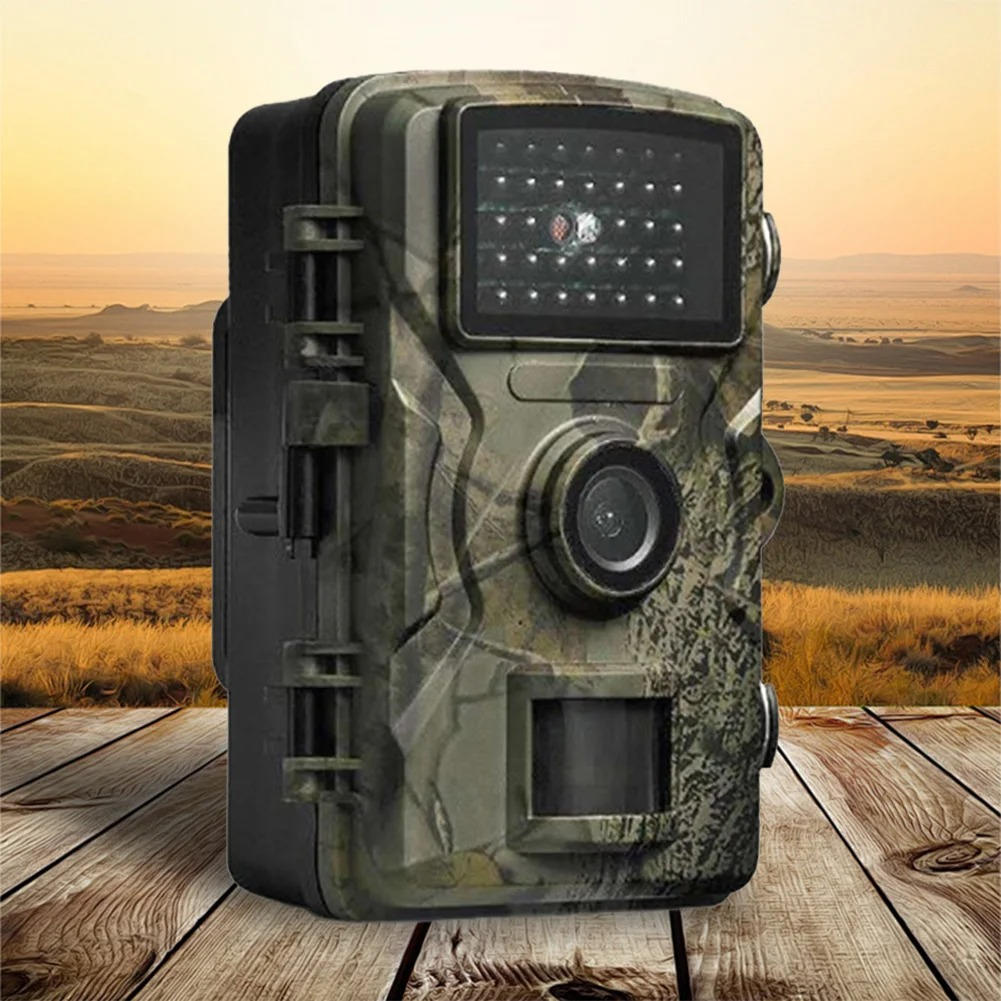 Outdoor wildlife camera with night vision & motion detection for nature photography.