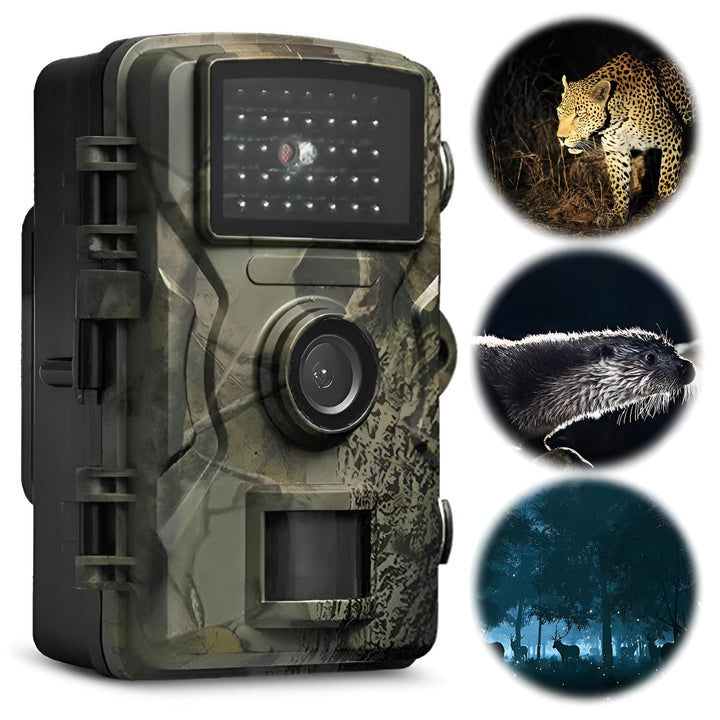 Secure outdoor camera for wildlife monitoring, featuring night vision & motion detection.
