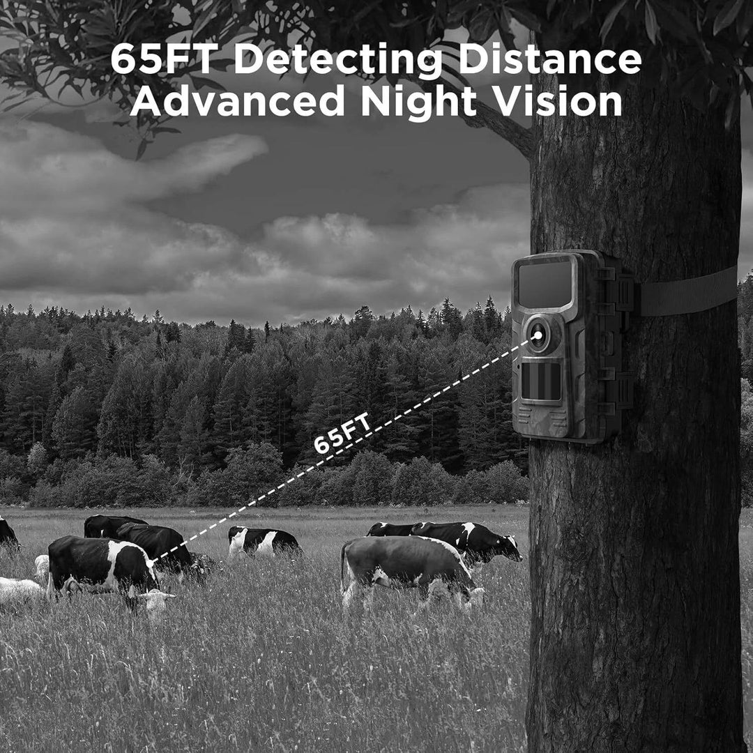 Weatherproof trail camera captures animals, motion-activated & HD night vision.