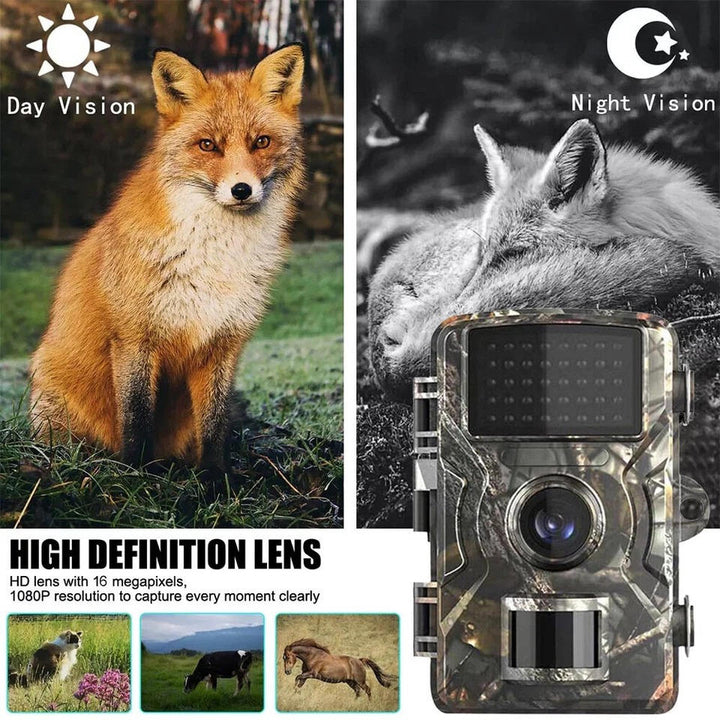 Compact outdoor animal camera with motion detection and infrared night vision.