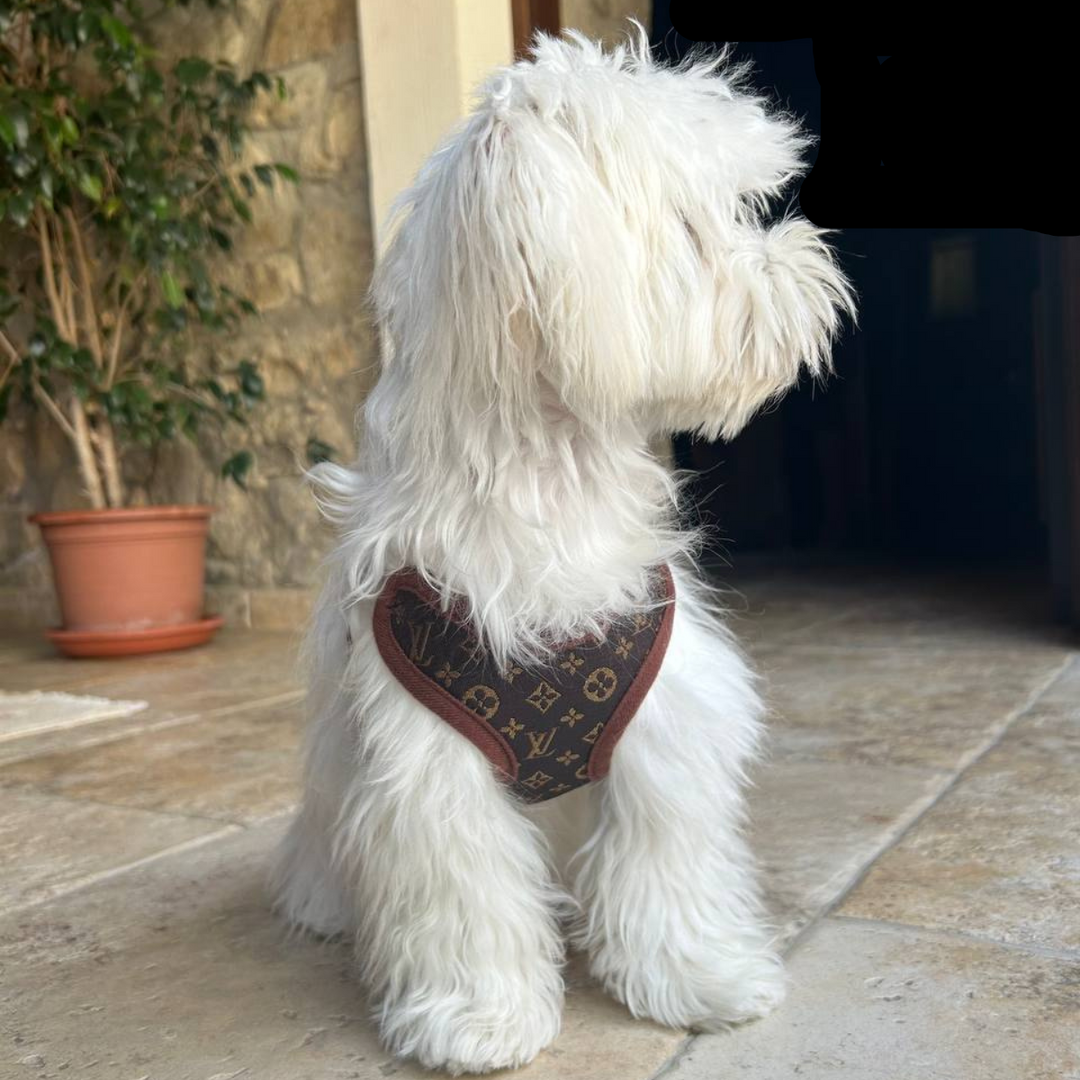 Brown dog harness and leash set with padded comfort. Durable, adjustable, no-pull design for secure pet walking.