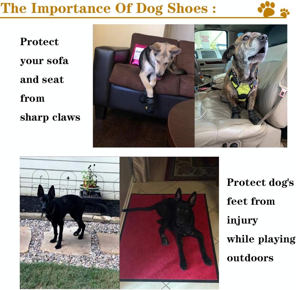 Owner putting an all-weather dog boot on a dog's paw, highlighting ease of use, pet protection