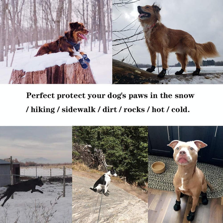 Happy dog wearing paw protectors, ready for outdoor adventures, showcasing comfort and design
