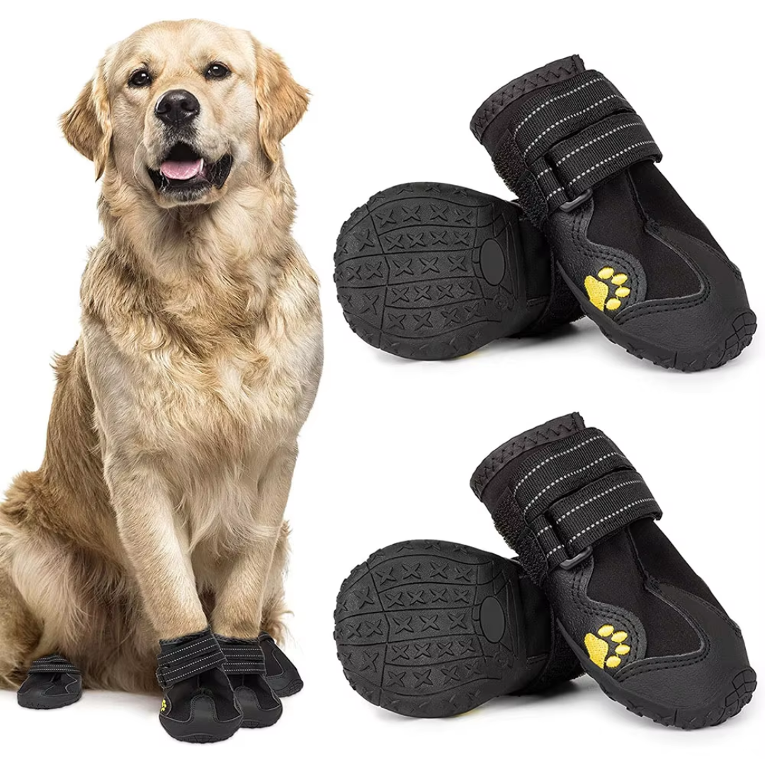 Set of four all-weather dog boots, paw protectors, for small to large dogs. Waterproof pet accessories.