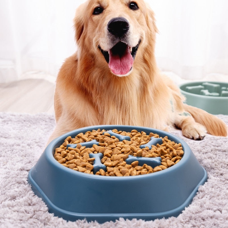 PawMaze slow feeder dog bowl, durable plastic. Prevents bloat, promotes healthy digestion & interactive eating for pets.
