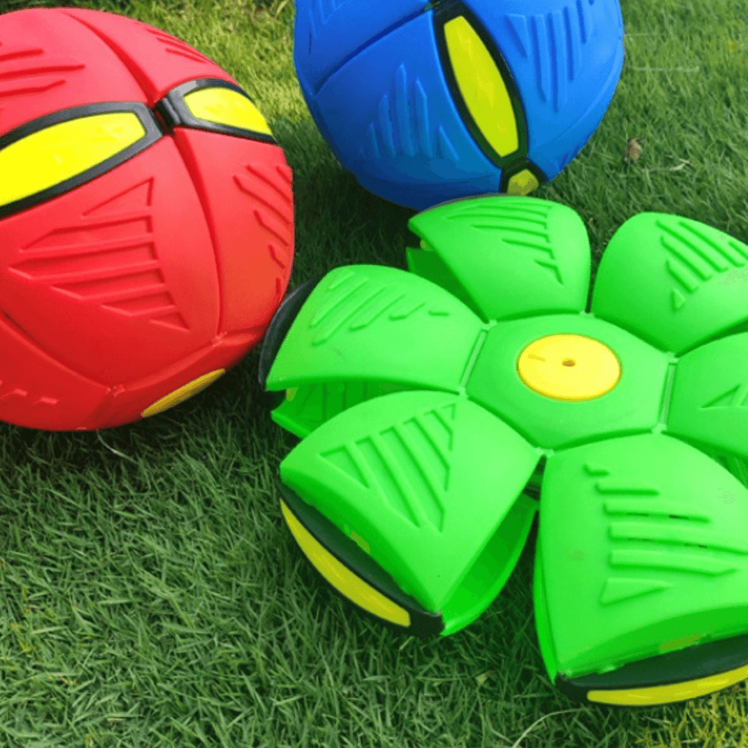 Vibrant LED flying saucer ball toy captivating pets for interactive play, enhancing visibility for fun fetch games.