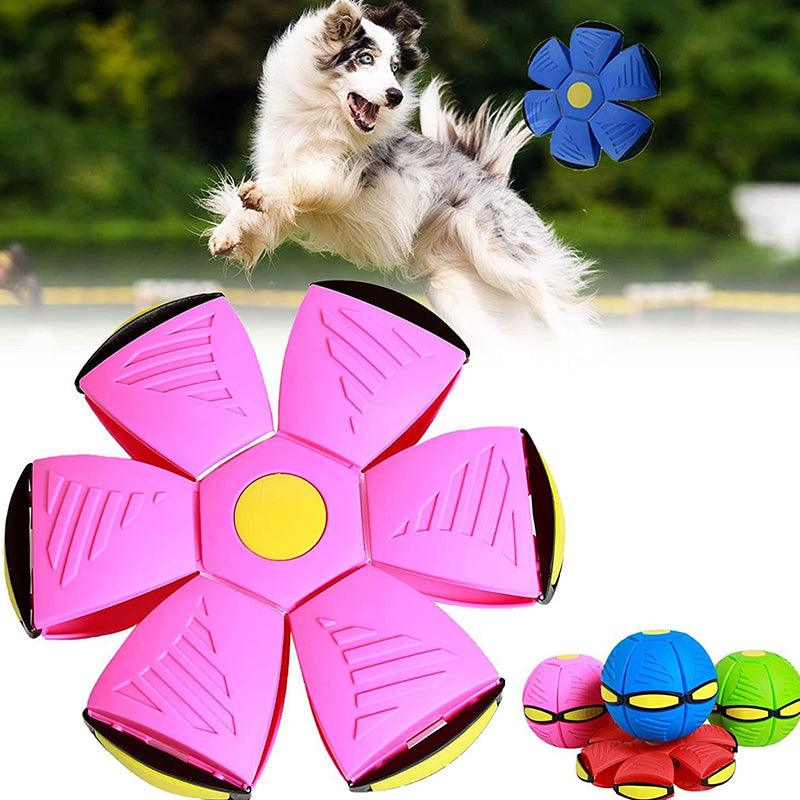 Dynamic LED flying saucer ball, an interactive dog toy for fetch, stimulating exercise & playful outdoor adventures.