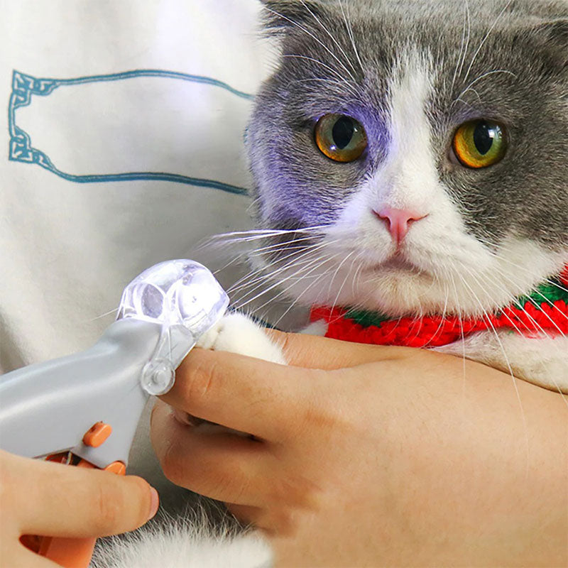 Pet's Safe dog nail clipper with quick sensor light for precise, stress-free pet grooming & nail trimming.