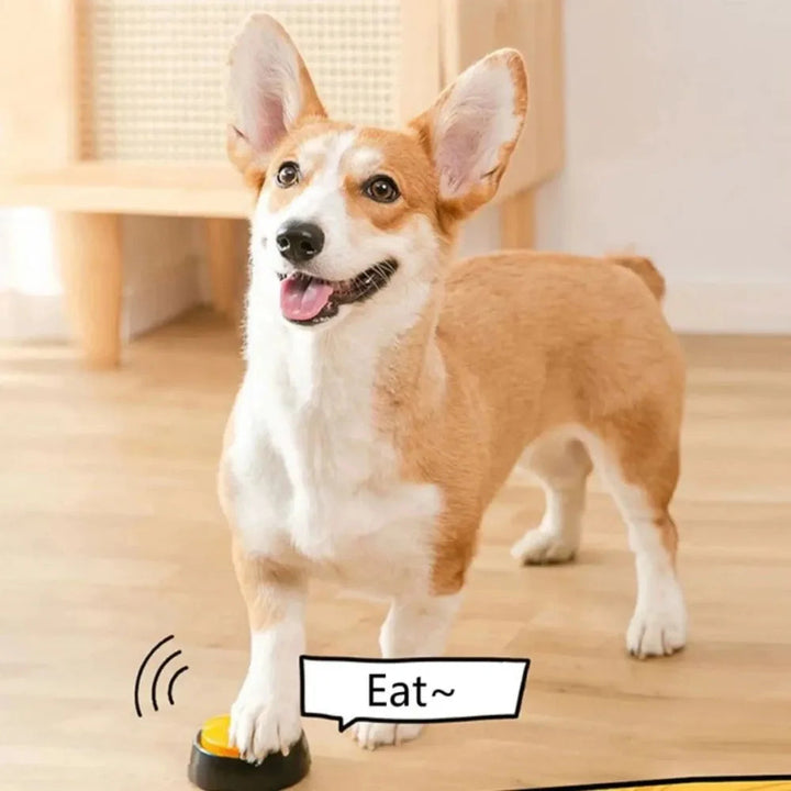 Set of colorful talking dog buttons to enhance pet communication and interactive training.