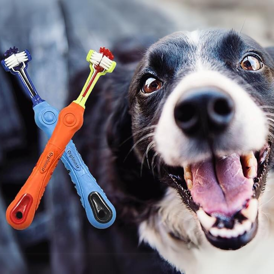 Pet Tri-Sided Dental Care Toothbrush for dogs, targeting tartar control & oral hygiene