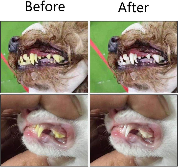 Pet Tri-Sided Toothbrush in a pet care setting, essential for dog dental hygiene & tartar