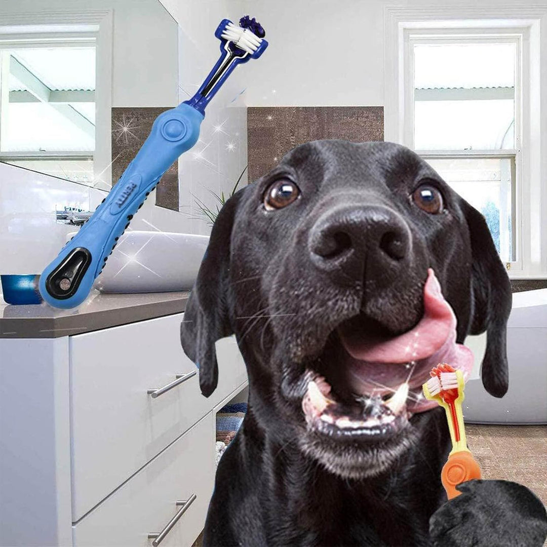 Packaging for a Pet Tri-Sided Dental Care Toothbrush, highlighting benefits for dog health