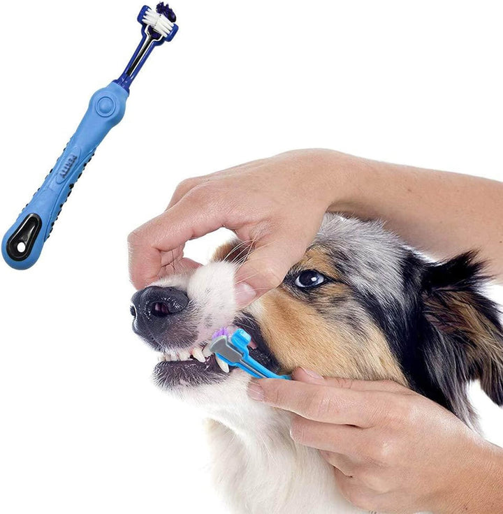 Assortment of Pet Tri-Sided Dental Care Toothbrushes for dogs, key for tartar control