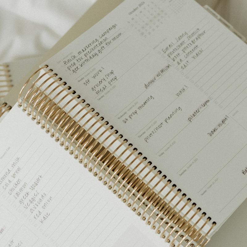 Elegant PlanEase Daily Planner 2024-2025 cover with 'Life Organizer' text, perfect for personal planning.
