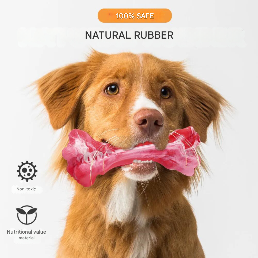 BuddyChew dental health toy, non-toxic and robust, perfect for active chewing dogs.