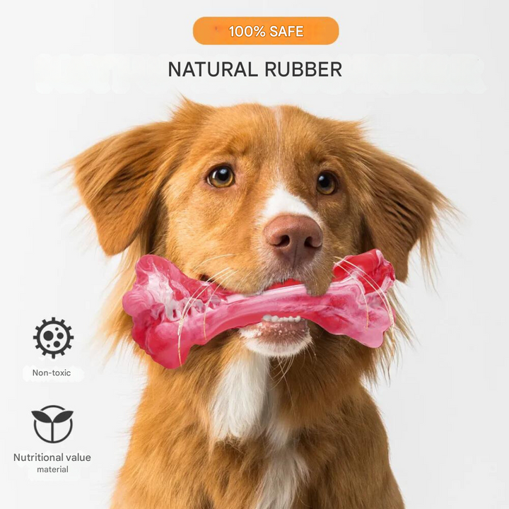 BuddyChew dental health toy, non-toxic and robust, perfect for active chewing dogs.