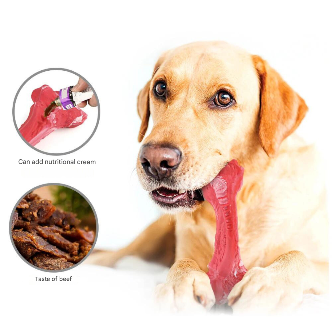 Dog supplies: dental chew toy, helps clean teeth and gums, great for dog's oral hygiene.