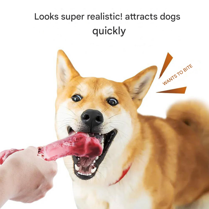 Playful dog chew toy, BuddyChew, designed to scrub teeth and remove plaque during play.