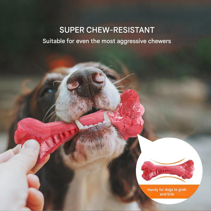 Durable dental toy for dogs, long-lasting and effective for maintaining healthy teeth.