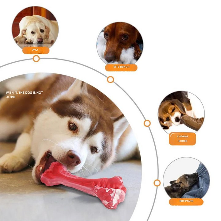 Dog dental health toy, strong chew for cleaning teeth, an essential pet supply item.
