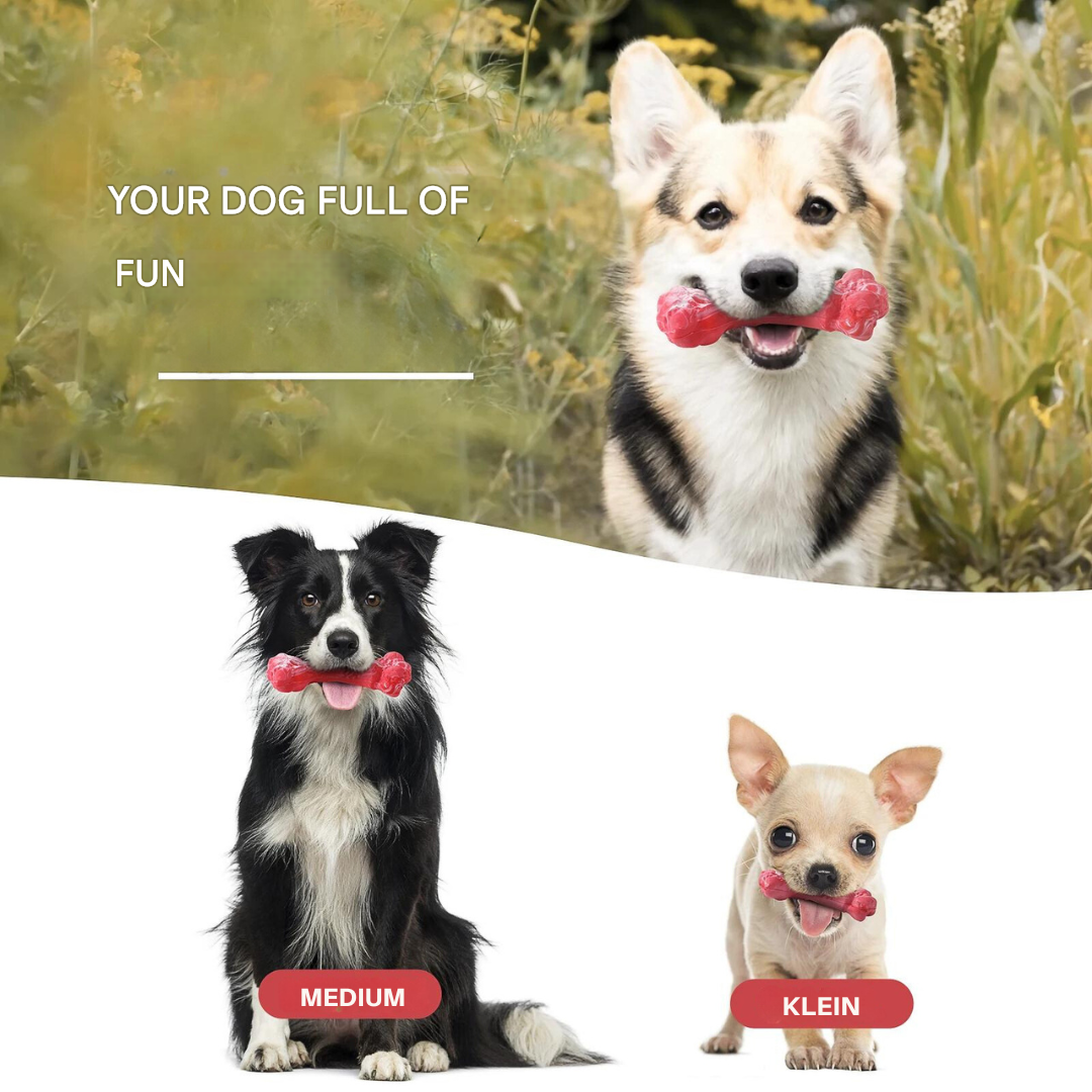 Engaging dog chew toy, supports dental hygiene and keeps canine teeth sparkling clean.