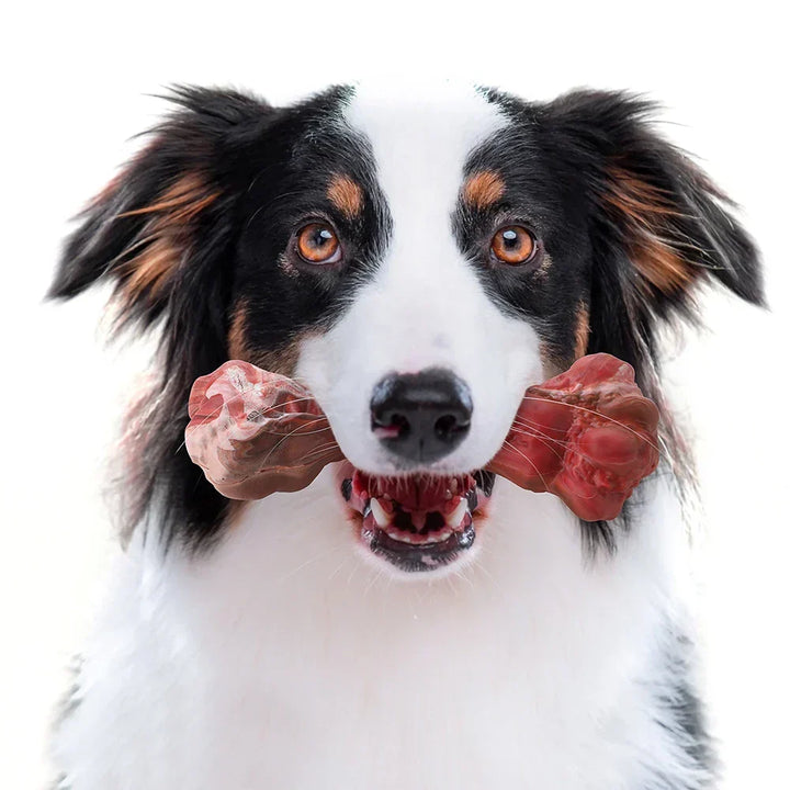 Non-toxic dental chew toy, playful design, ideal for dog supplies and pet oral hygiene.