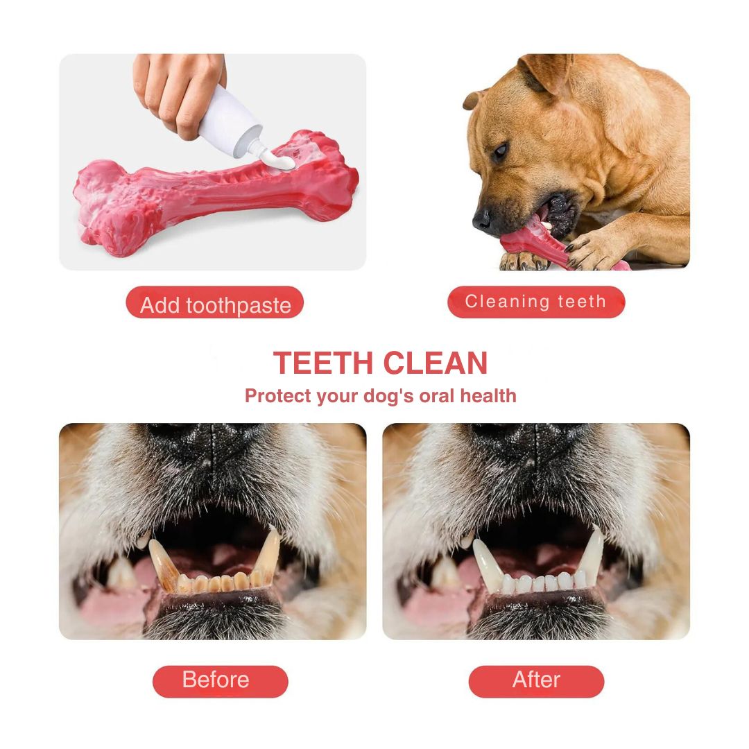 Durable dog toy, BuddyChew, designed for plaque removal and healthy pet teeth.