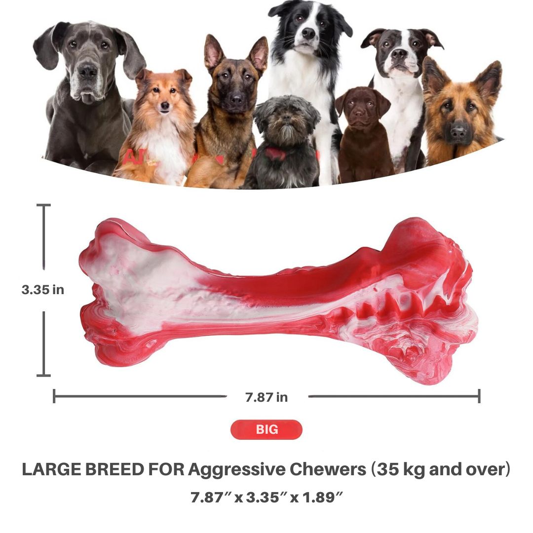Squeaky dog dental chew toy, promotes dental health, keeps your dog entertained and healthy.