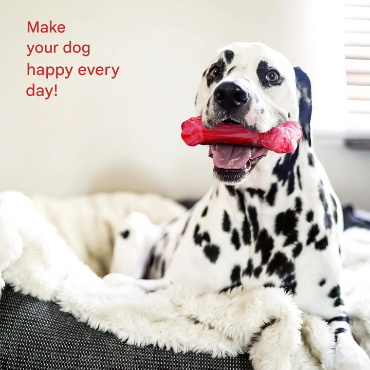 Pet care dental toy, BuddyChew, for active chewing, supports tartar control and clean teeth.
