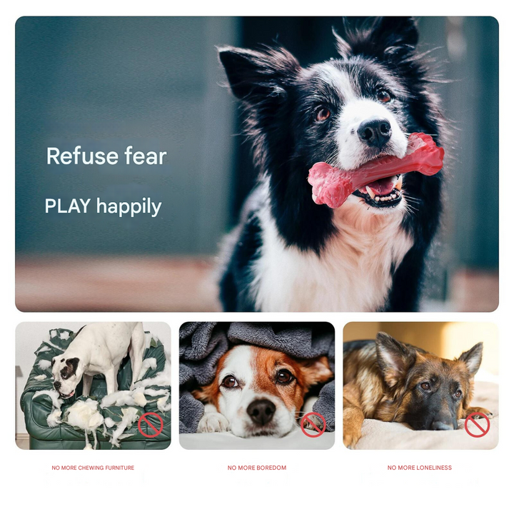 Interactive dog dental toy, fun & effective for plaque removal, essential for pet dental health.
