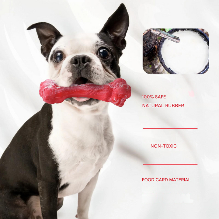Healthy teeth dog toy, durable chew for daily dental care, prevents plaque buildup.