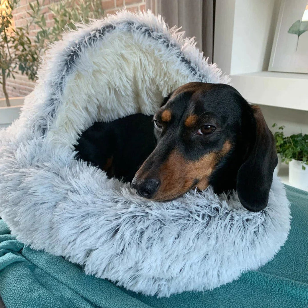 Comfortable pet bed with cozy cave design, perfect for deep sleep & anxiety relief.