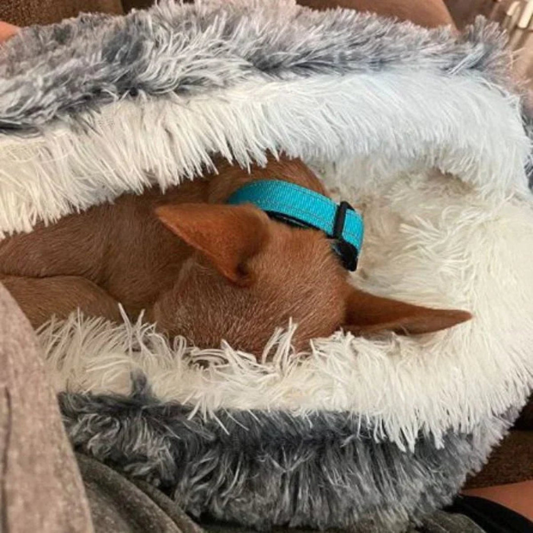 Soft, plush dog bed, a cozy cave for pets needing calming comfort and relaxation.